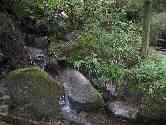 thumb_20070909avrc 102.jpg